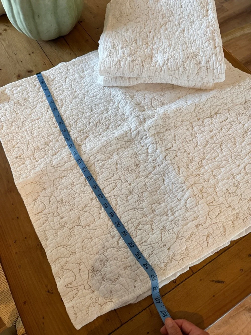 🕊️Quilted Euro Shams, set of 3